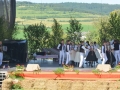 sfs (14)-001